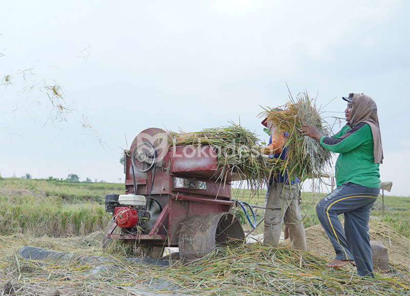 Bantuan Modal Usaha Ketahanan Pangan Lokadesa