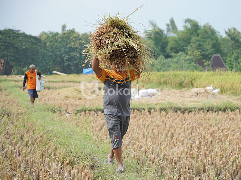 Bantuan Modal Usaha Ketahanan Pangan Lokadesa